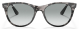 Ray-Ban 2185 1250AD 55 EVOLVE photochromic